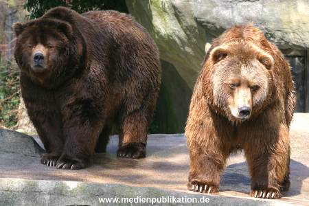 hagenbeck 03 04 033