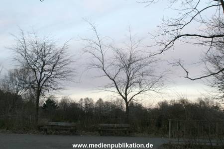 Natur 26022006 002