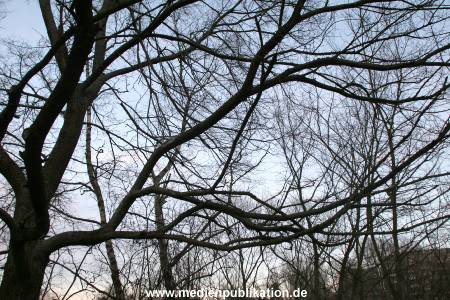 Natur 26022006 003