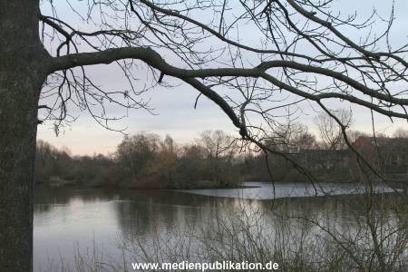 Natur 26022006 004