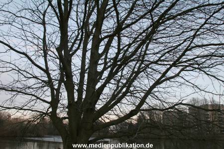 Natur 26022006 005