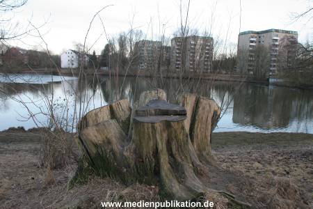 Natur 26022006 007