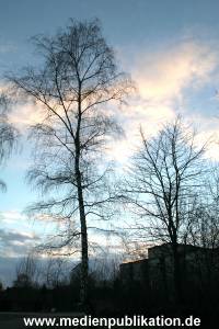 Natur 26022006 008