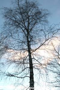 Natur 26022006 009
