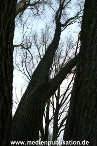 Natur 26022006 016