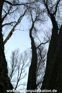 Natur 26022006 017