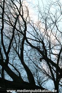 Natur 26022006 018