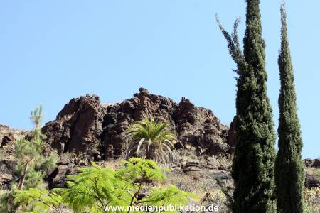 Palmitos Park GC2013 022
