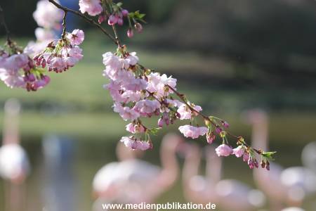 Hagenbeck 11042014 001