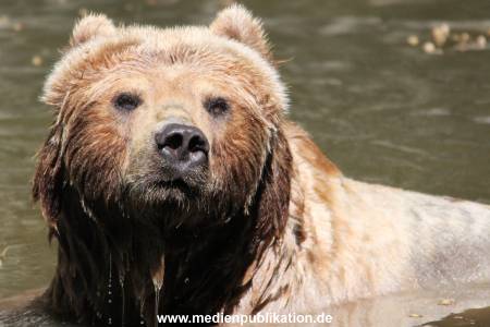 Hagenbeck 08052018 026