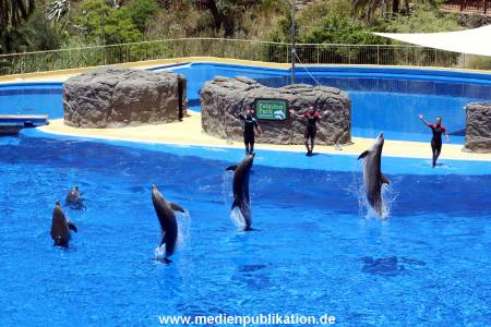 Palmitos Park GC2013 066