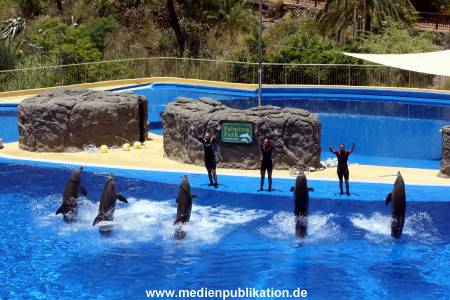 Palmitos Park GC2013 073