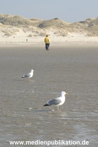 amrum 04 04 divers 008