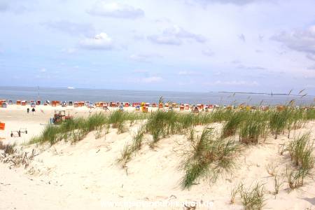 amrum 2001 006