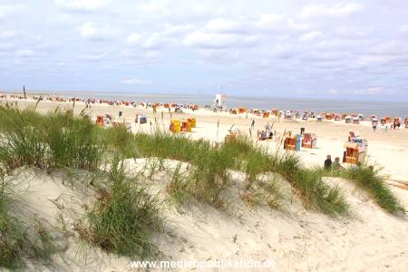 amrum 2001 007