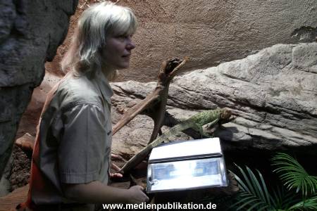 Hagenbeck Inventur 29122009 004