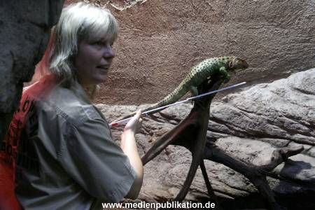 Hagenbeck Inventur 29122009 005