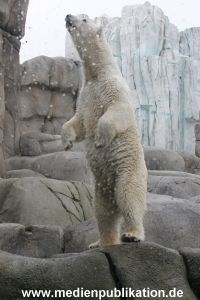 Eismeer Hagenbeck 05072012 031