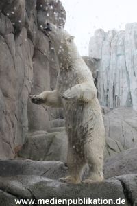 Eismeer Hagenbeck 05072012 034
