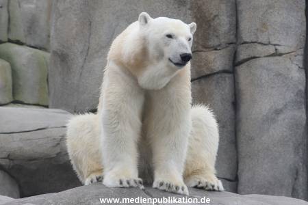 Hagenbeck 06062013 006