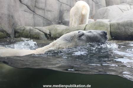 Hagenbeck 06062013 007