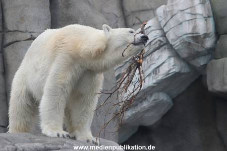 Hagenbeck 06062013 028