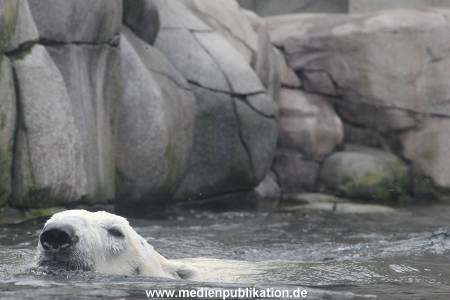 Hagenbeck 06062013 031