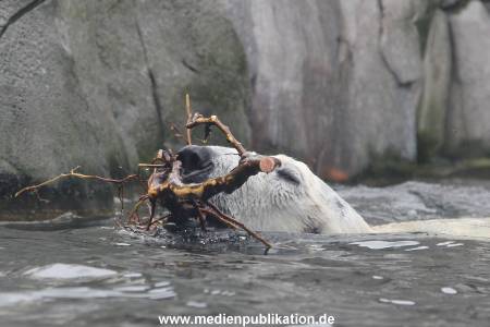 Hagenbeck 06062013 034
