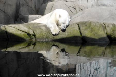 Hagenbeck 17062013 004