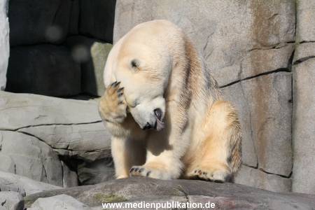 Hagenbeck 25022014 012