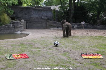 EM Orakel Hagenbeck 08062012 003