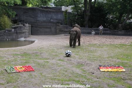 EM Orakel Hagenbeck 08062012 006