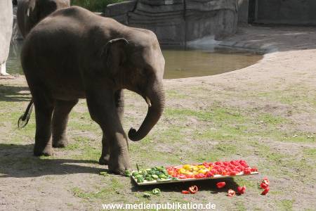 EM Orakel Hagenbeck 08062012 009