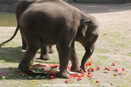 EM Orakel Hagenbeck 08062012 010