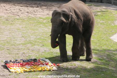 EM Orakel Hagenbeck 08062012 011