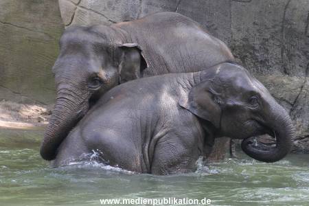 Eismeer Hagenbeck 05072012 070