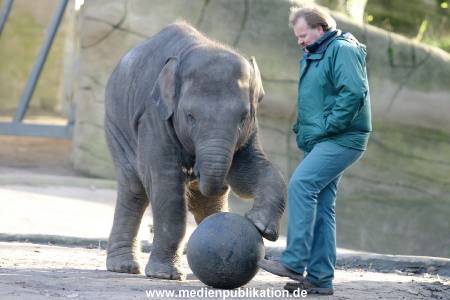 Hagenbeck 1104  015