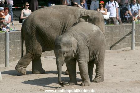 Hagenbeck 03072010 001