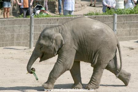 Hagenbeck 03072010 006