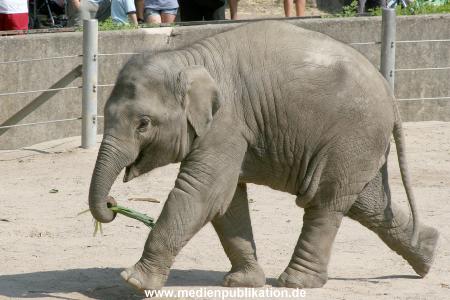 Hagenbeck 03072010 007