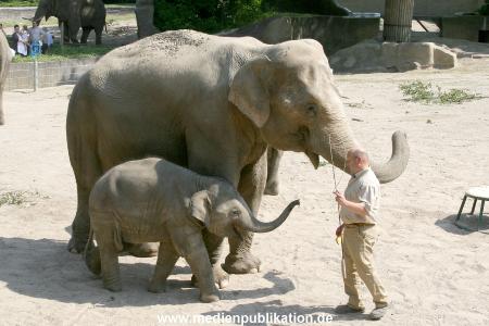 Hagenbeck 03072010 008