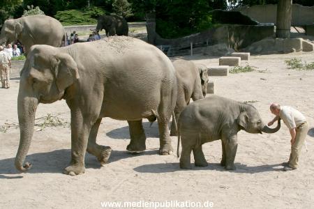 Hagenbeck 03072010 010