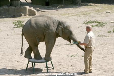 Hagenbeck 03072010 013