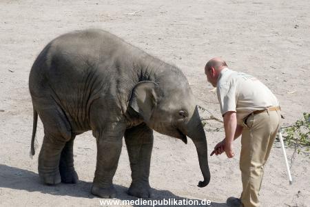 Hagenbeck 03072010 014