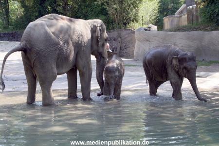 Hagenbeck 03072010 015