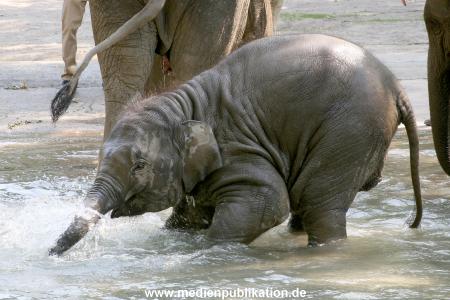 Hagenbeck 03072010 017
