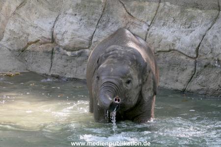 Hagenbeck 03072010 018
