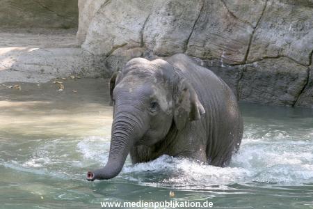 Hagenbeck 03072010 019