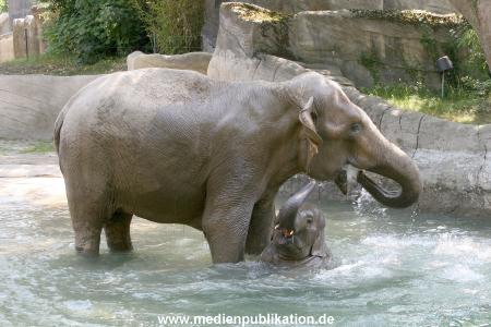 Hagenbeck 03072010 020