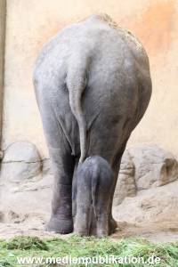 Hagenbeck 03092017 009